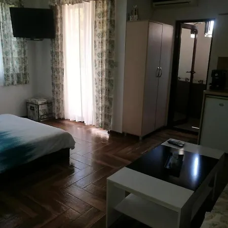 ели Guest house 3*