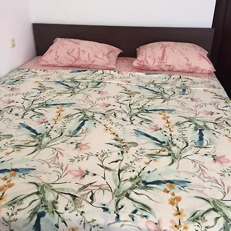 ели Guest house Primorsko