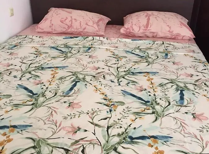 ели Gasthuis Primorsko