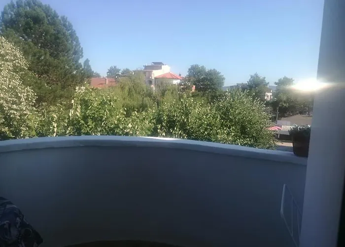 Gasthuis ели Primorsko